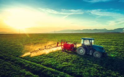 A call for climate-smart agricultural policies