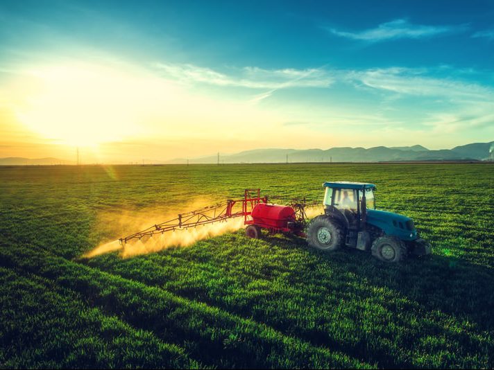 A call for climate-smart agricultural policies