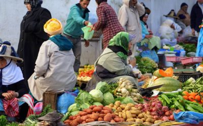 Thinking small to ensure global food security