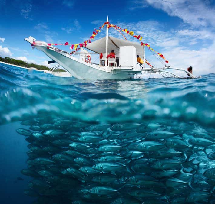 Policy advice informed by evolutionary fisheries science